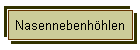 Nasennebenhhlen